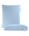 Back + Seat Pillow Set
