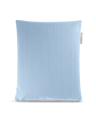 Back Pillow Only