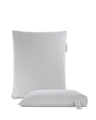 Back + Seat Pillow Set